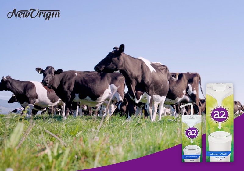 뉴오리진 a2 밀크™, 프리미엄 '초지방목 우유'로 인기