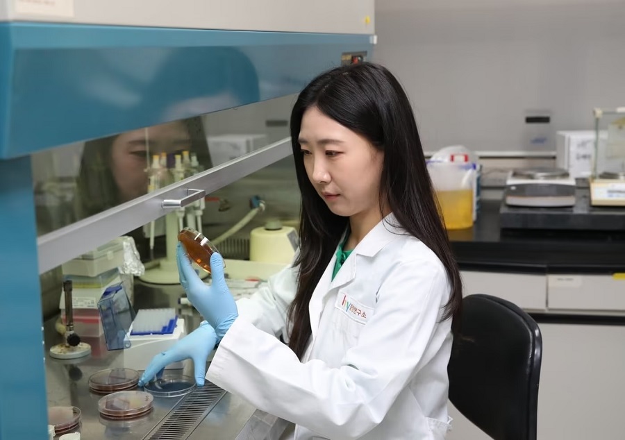 hy, ‘HY7017’ 개별인정형 원료 인정