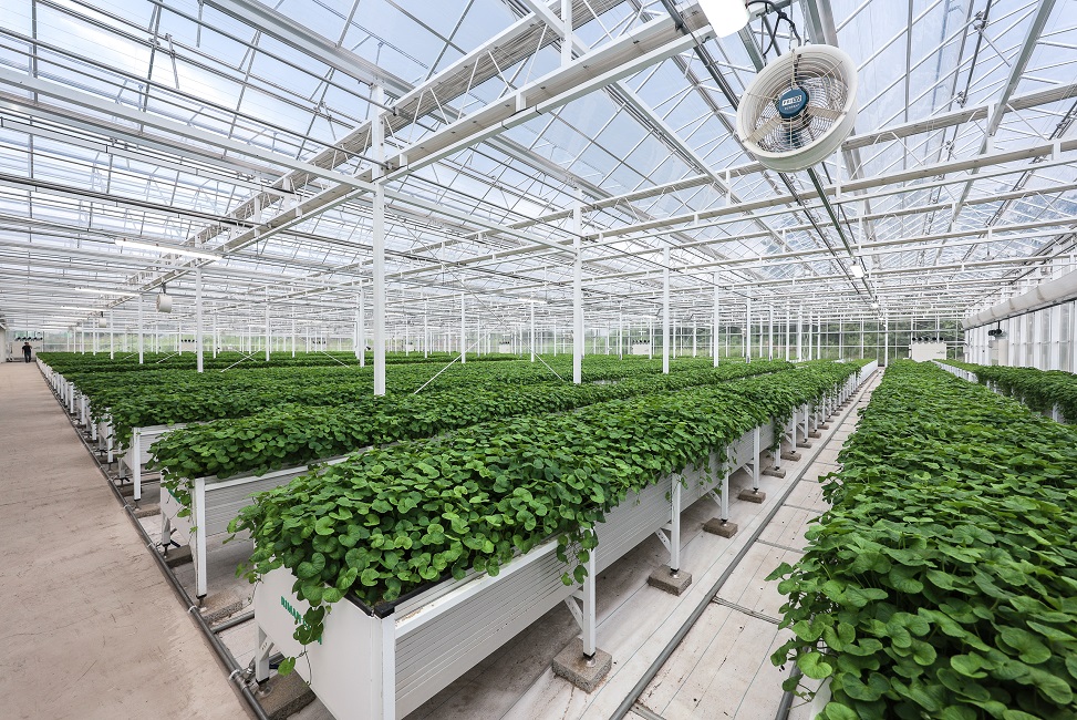 136만 개 화장품의 원천, ‘리만팜’ 첫 공개